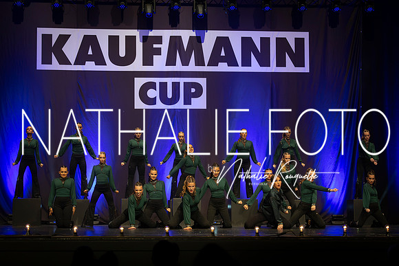 Kaufmann R1-478