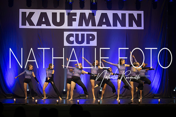 Kaufmann R1-725