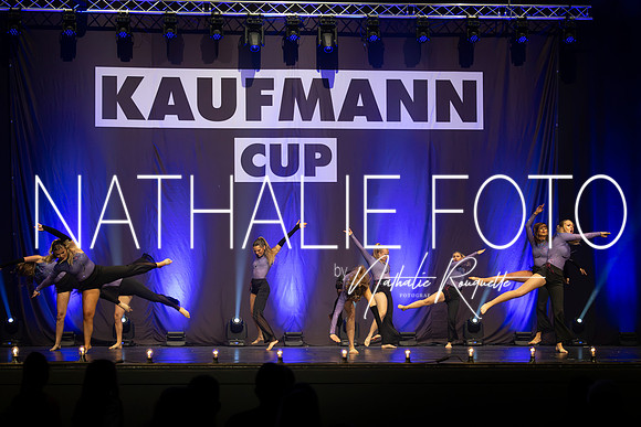 Kaufmann R1-706