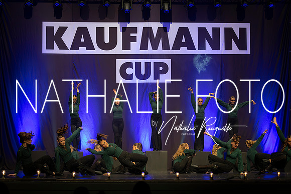 Kaufmann R1-475