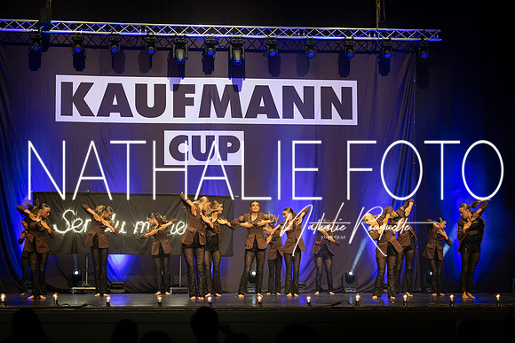 Kaufmann R1-425