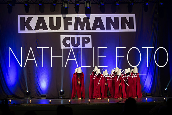 Kaufmann R1-543