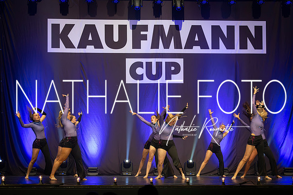 Kaufmann R1-699