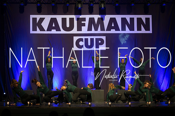 Kaufmann R1-476