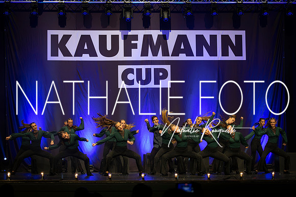 Kaufmann R1-486
